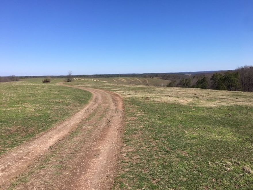 A rare 200 +/- acres seated in the scenic Ozark Mountains of northern Madison County Arkansas. Its northern border joins the Arkansas Game and Fish Wildlife Management Area .The property has stunning views and is just minutes from Withrow Springs State Park .Whether your looking for a working cattle farm with barn,corral and several ponds or a hunting property with an abundance of wildlife this property has​​‌​​​​‌​‌​​​‌‌​​​‌‌‌​​‌​​‌‌​​​​ it.