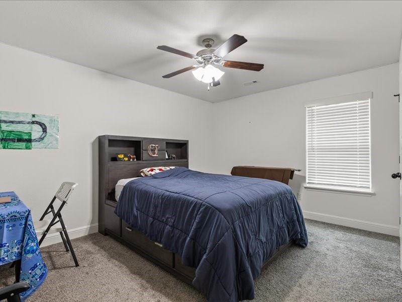 The Pines at Orchard Park - Residential