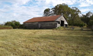Just over 20 acres of rural Ozarks land waiting for your new home to be built. There is one barn on the property that is currently in use for storage of building materials. There is a 35 to 40 foot deep hand-dug well for watering the garden. Rural water line is across the road(buyer to verify available meter). Seasonal creek in the back corner. Circle drive runs through entire property for convenience of access, 4X4 recommended on rainy days. Located 2 miles on gravel road. 2.4 miles from JB Trading Company store. 7.5 miles from Ponca entry to Buffalo River. 1.5 miles to area waterfall and swimming hole. No Manufactured Homes or Commercial Livestock permitted. Excellent site for homestead and mini farm life! Agent Owned.