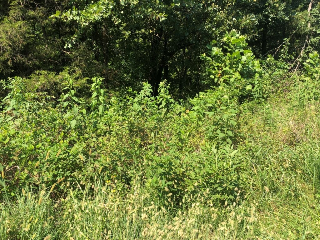Location! Location! Location! - A flat Bella Vista lot less than 5 minutes to I-49 in an area of new homes. You don't want to miss this one.