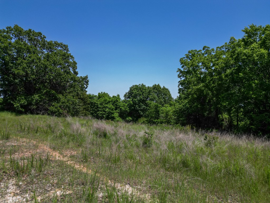 Springdale Outlots - Land