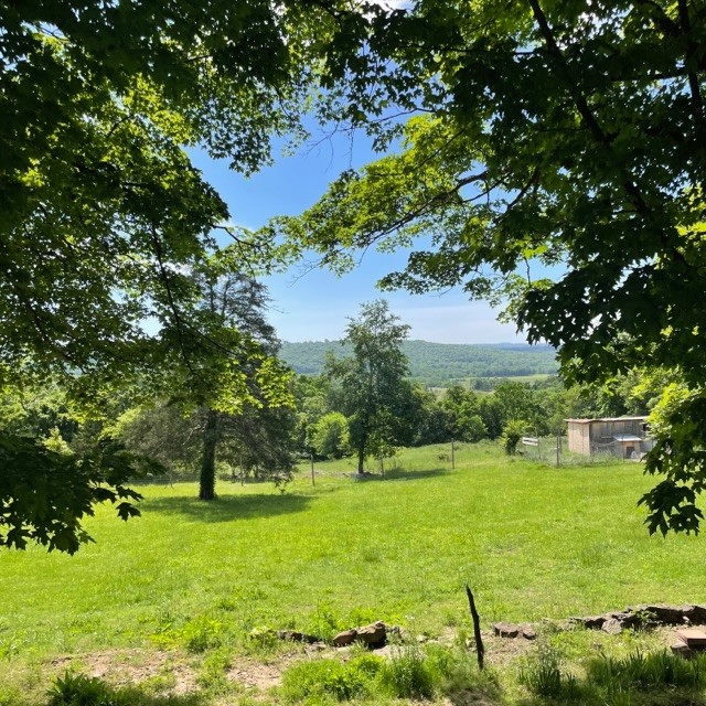 This quiet 3 bedroom 1 bath home with a basement level has a newer A/C unit, wood cabinetry, gazebo and new deck built on January 2025 sits on 2.53 acres. Back porch has beautiful views of War Eagle Valley. The front of property has some highway road frontage. This home also features a detached 1,110 sqft shop. Home is located right off HWY 412 Business and minutes away from Walmart and Huntsville Schools.
This home is about 1 hour from Branson and about half hour from Fayetteville and Eureka Springs.