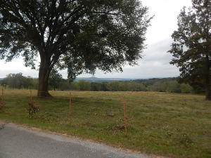 Prime Location and Beautiful Property! Part lays inside Berryville city limits, part does not, pasture for cattle, hay field, paved county road frontage, city water at street, natural gas at street, large shop/barn, joins golf course. Lots of possibilities!