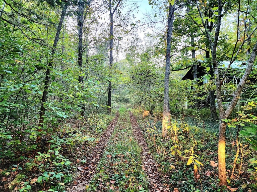 Eureka Ambulance - Residential