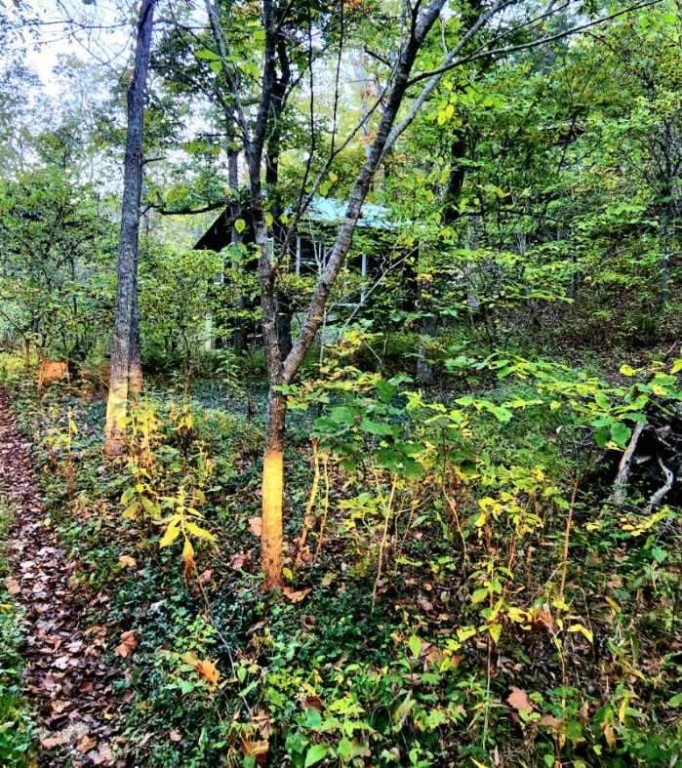 Very private, very secluded cabins in the hills of Eureka Springs. The main Cabin is 544 sq feet & is structurally sound. Both will need full remodels. Property sits on 13.33 acres. Sold "As Is"
