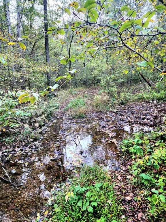 Eureka Ambulance - Residential