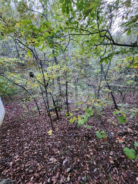 Eureka Ambulance - Residential