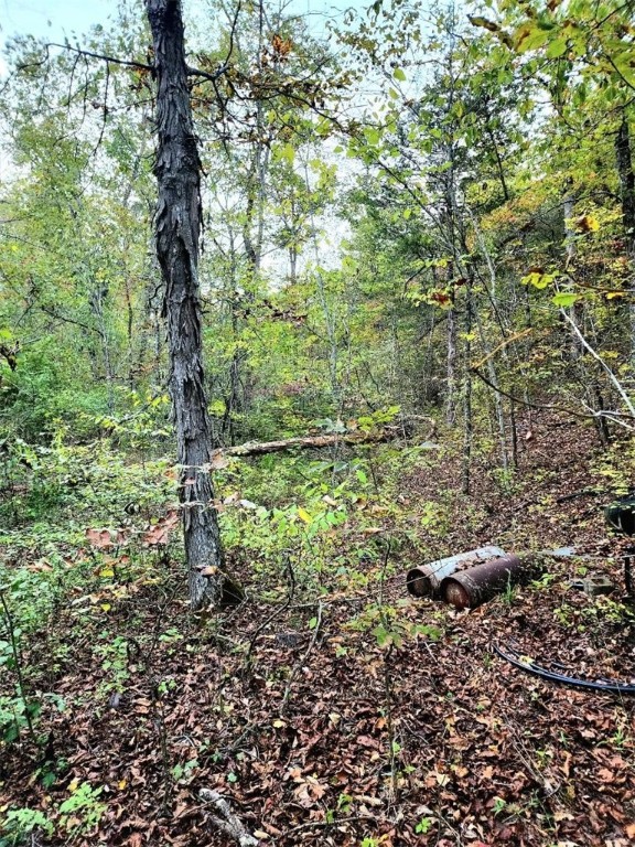 Eureka Ambulance - Residential