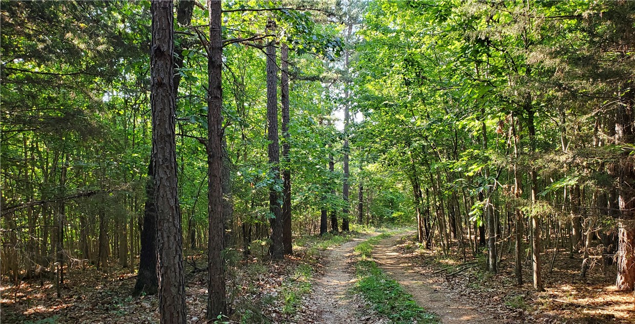 Come home to the great outdoors and enjoy 15 spectacular wooded acres with mature trees and fresh mountain air. This property features a concrete slab about 50ft by 50ft and an additional perimeter foundation for a home and a shop, garage or pavilion. The septic tank and field lines are in place. Electricity is nearby at the parcel to the south, along the shared driveway. A well or rainwater catchment system would complete the prep work to build, or just use the property for hunting and camping if you wish. Come and see this land today, only a 30 min drive to Huntsville or Berryville. Eureka Springs or Fayetteville is about 50 minutes' drive time.