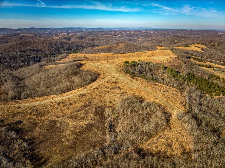 This expansive 282-acre cattle farm offers an exceptional opportunity with stunning panoramic views, perfect for building your dream home or multiple homes. The property boasts 8 ponds, ideal for watering livestock or enjoying serene moments in nature. A huge overhang bluff adds to the natural beauty and provides endless possibilities for outdoor activities and entertainment.
Located just miles from the Ozark National Forest, this property combines the tranquility of rural living with the convenience of nearby recreational opportunities. Whether you are looking to expand your cattle operation or create your own private retreat, this property offers endless potential.