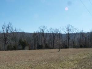 Wooded building lot in country subdivision. Homeowners Association. Buyer is responsible for verifying availability of any and all utilities, familiarizing themselves with HOA, and restrictive covenants.