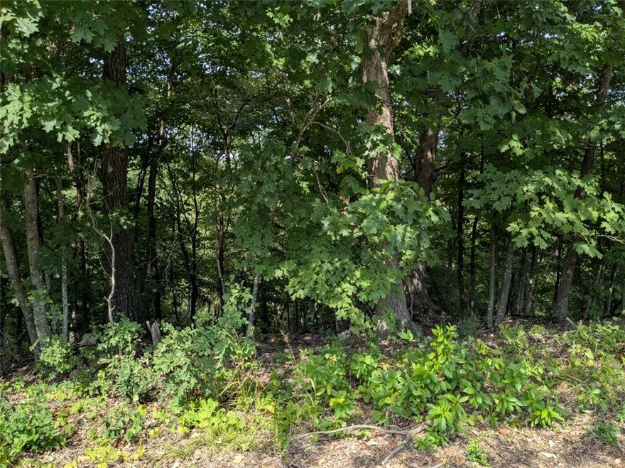 Ready to build your dream home? Near the main entrance, your new property is walking distance from the Holiday Island Country Club and golf course. Quiet and gently wooded with beautiful views, this elevated lot offers the best of both worlds. Enjoy the amenities in Holiday Island like golf courses, a country club, swimming, tennis and a marina with a fishing dock or watch the local fauna from your front porch! Nearby Eureka Springs or Rogers offers great shopping and vibrant cultural hubs.