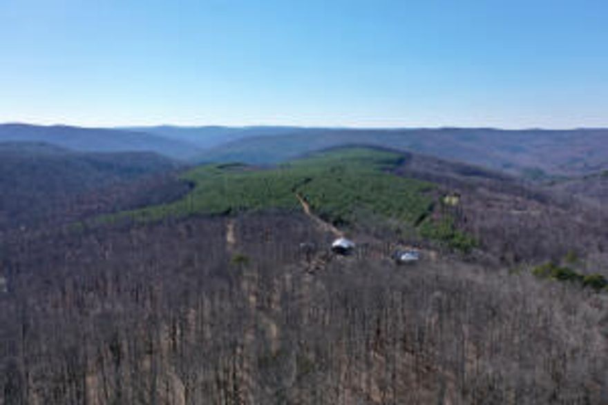 354 +/- Acre Turn-key Outdoorsmans Paradise with Home, Shops, Waterfalls, Caves, and Creeks. Talk about checking all the boxes. This gorgeous secluded mountain top paradise is loaded with features that dreams are made of. Nestled in the Ozark mountains and bordering the National Forest is this gorgeous 1,720 +/-square foot custom home built in 2021 surrounded by the most amazing 354 +/- acre paradise. The property features a 30 foot waterfall, 2 creeks, a giant cave, multiple food plots, trail systems to reach every section of the property, at least 6 natural springs, multiple ponds, a mix of mature timber, and 120 +/- acres of 10 year old planted pines. What makes this such a unique property is that this rural tract has municipal water and fiber optic WiFi so you can work from home.