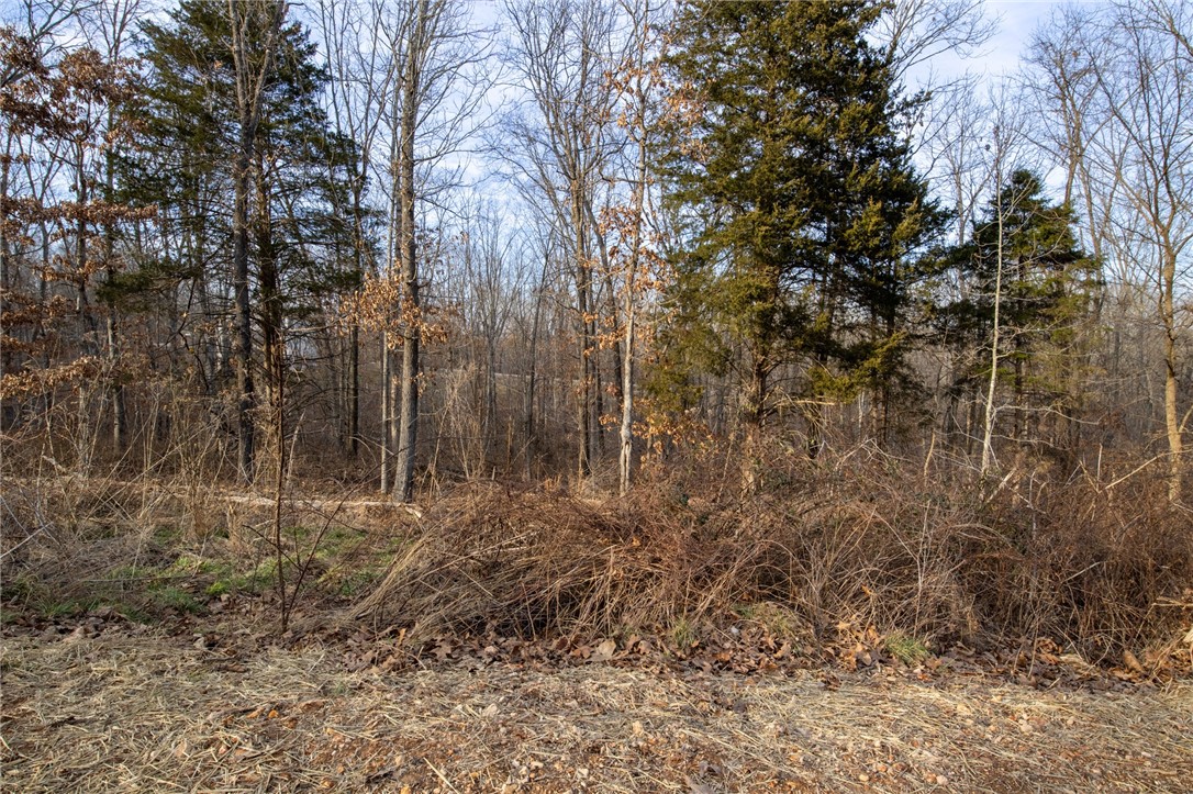 Kinloch Sub Bvv - Land