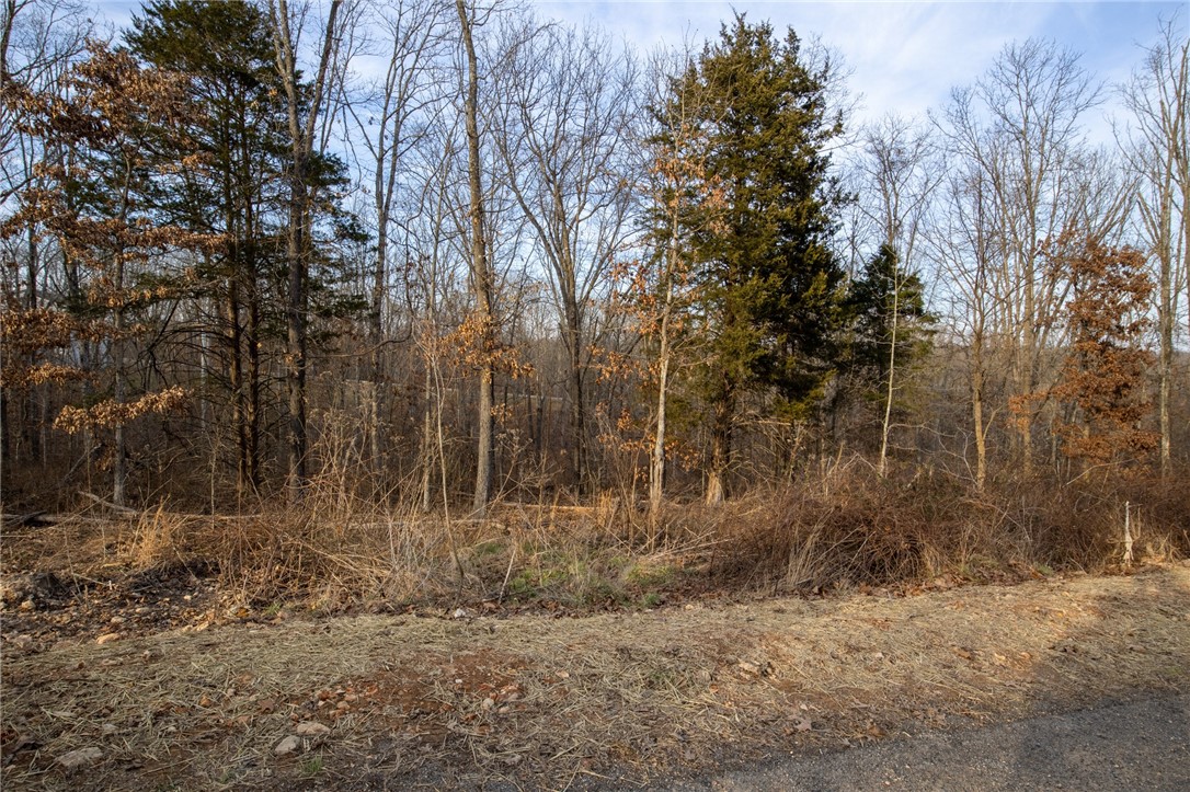 Kinloch Sub Bvv - Land