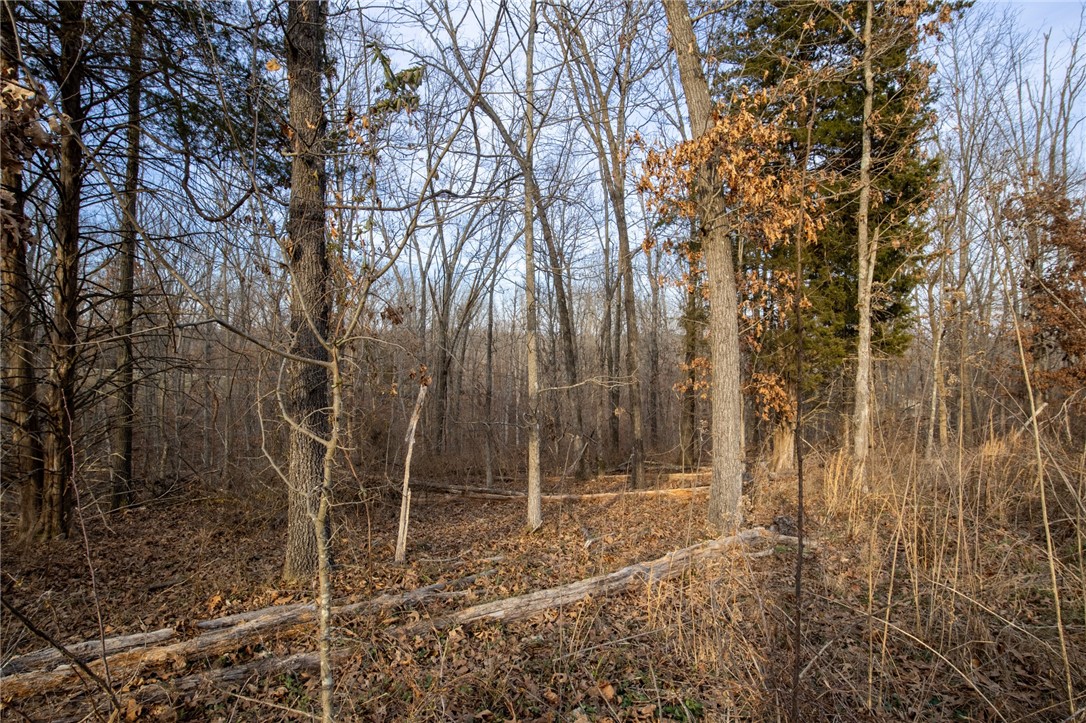 Kinloch Sub Bvv - Land