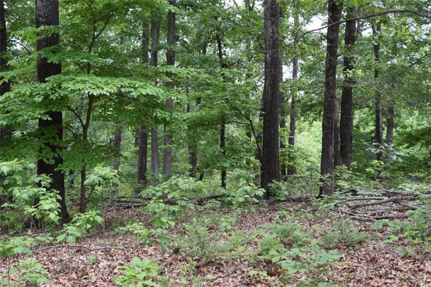 This Lake Area acreage fronts 2 roads, High Meadows and Clancy Rd. Multiple building sites Rural Water, Pristine woods, perfect site for your always home or lake get-away. Close in to Rogers for shopping and REAL close to Beaver Lake. INVESTORS! consider this property to split into smaller tracts. There is a spring that never stops flowing on the Clancy side of the property. No Restrictions with mobile homes. 2 springs on property.