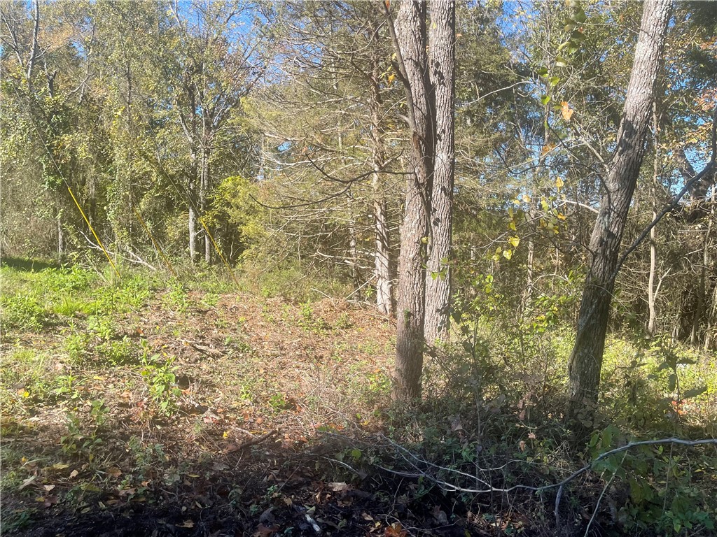 Strathdon Sub Bvv - Land