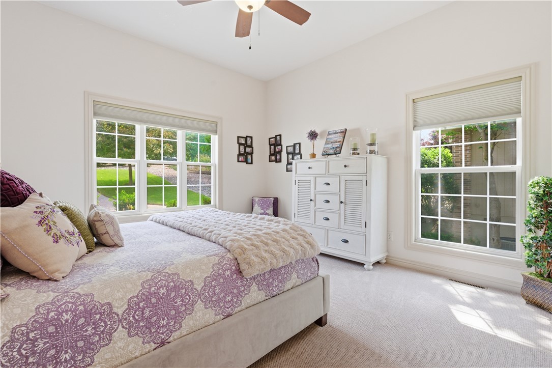 Dunedin Sub Bvv - Residential
