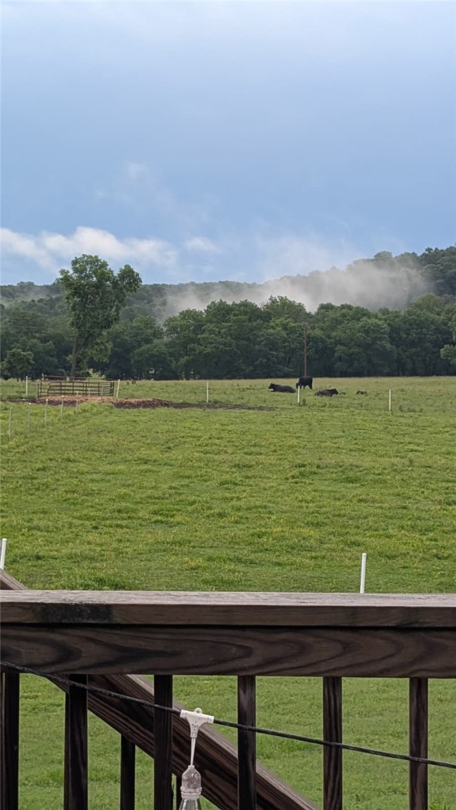 Maysville Gem - Residential