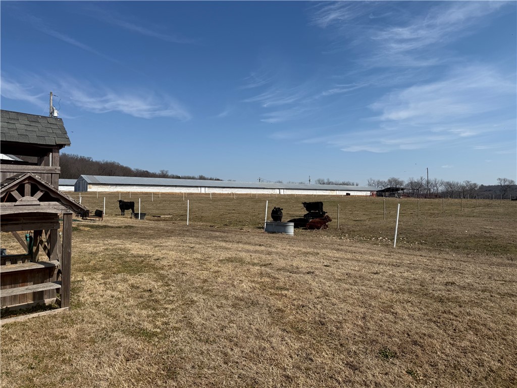 Maysville Gem - Residential