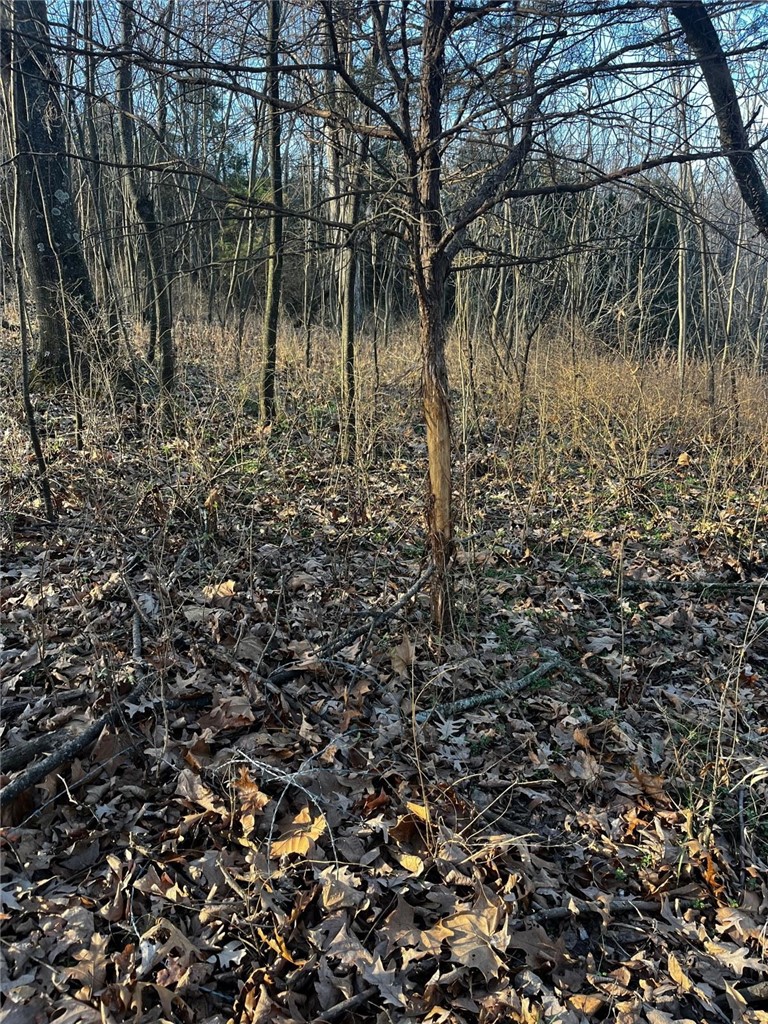 Maysville Gem - Residential