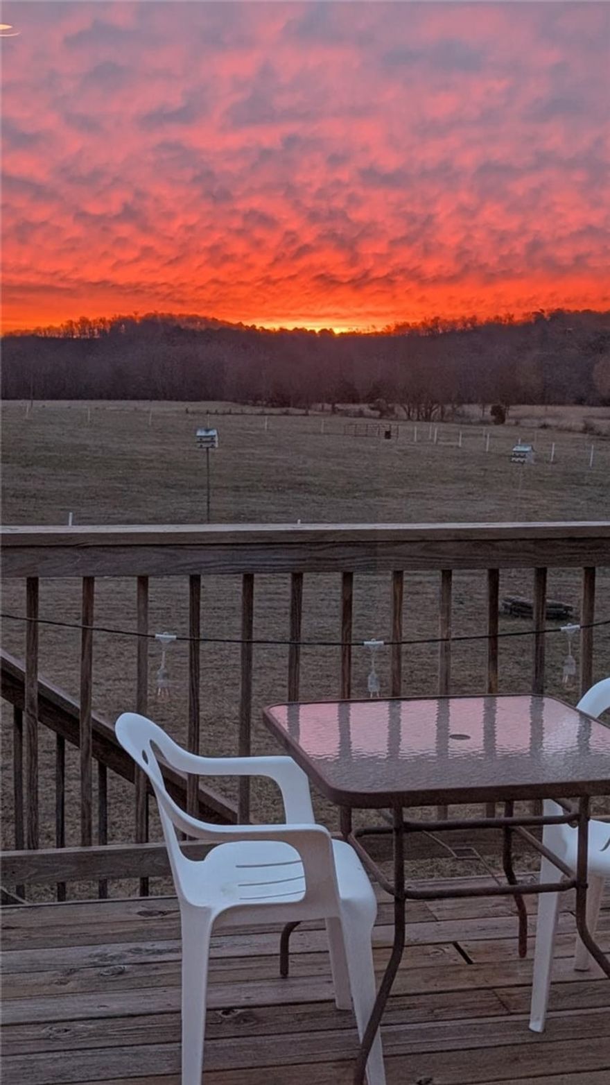 We've long admired this beautiful spot and are thrilled to present a unique farm located on the western side of Benton County. Picture yourself on approximately 28 acres, just north of Spavinaw Creek and off Hwy 43. The charming home welcomes you right from the road, featuring a lovely front porch that leads directly into a cozy living room and an inviting open kitchen. Enjoy a cup of coffee on the back deck or make your way to the lower level, where you can find additional living space with a fireplace, bedrooms, and room for games. There is also a fantastic shop space perfect for running your small business. And for the livestock enthusiasts, woodworkers, or DIY aficionados this place has everything you need to bring your dreams to life. Come explore the possibilities; you wont regret it!