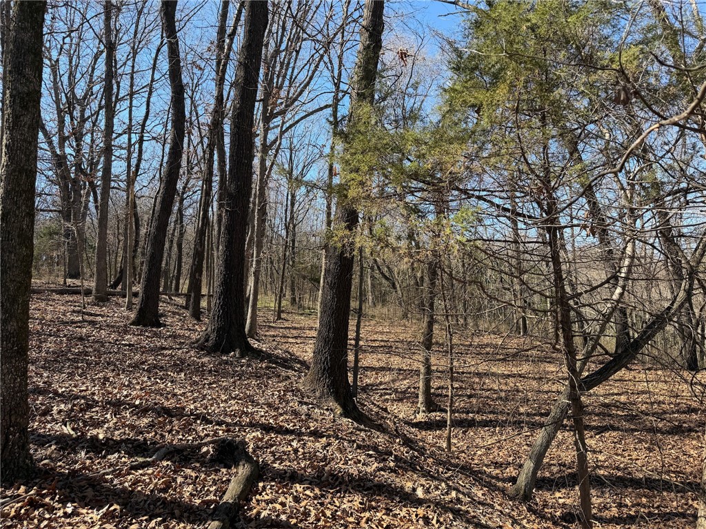 Maysville Gem - Residential