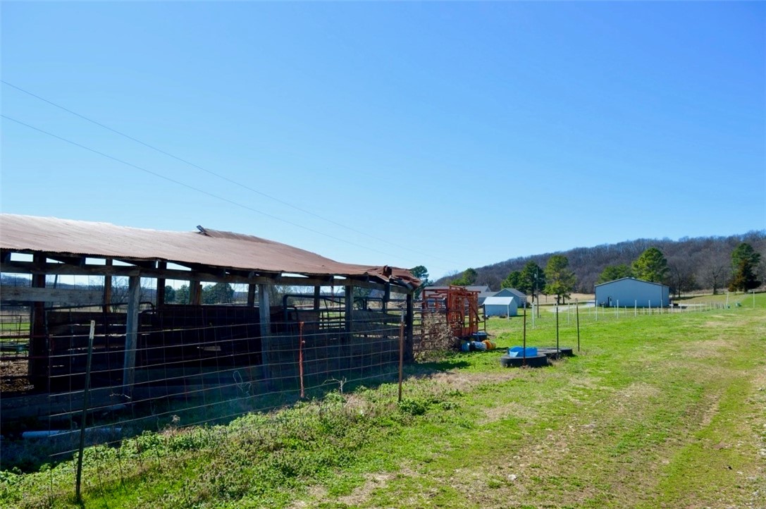 Maysville Gem - Residential