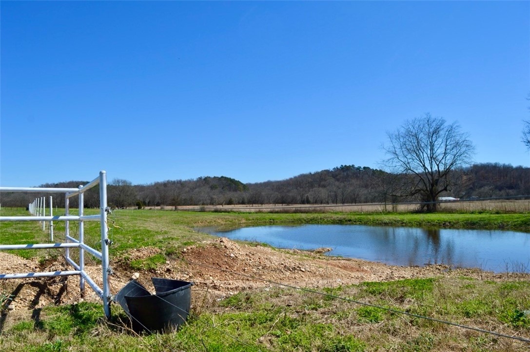 Maysville Gem - Residential