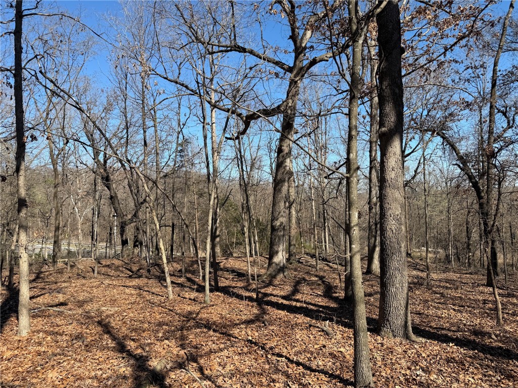 Maysville Gem - Residential