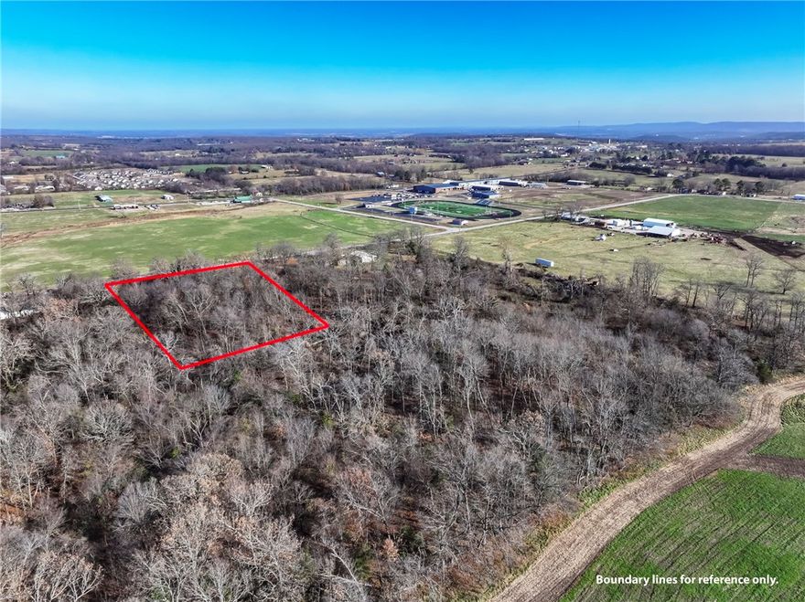 Development opportunity. Approximately 1.1 acre lot close to downtown Lincoln, with easy access to Lincoln High School and commuting to Fayetteville.  City of Lincoln will likely allow building of duplexes or single family homes. Lincoln is growing, and here is your chance to get in!  Carpe diem.