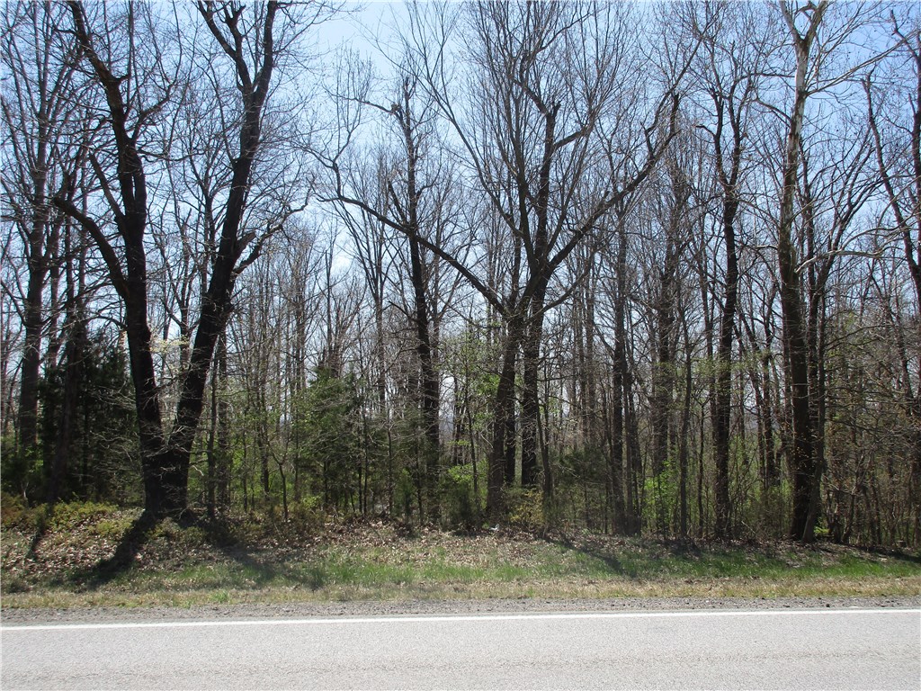 7.5 acres with highway 45 frontage, large mature trees.