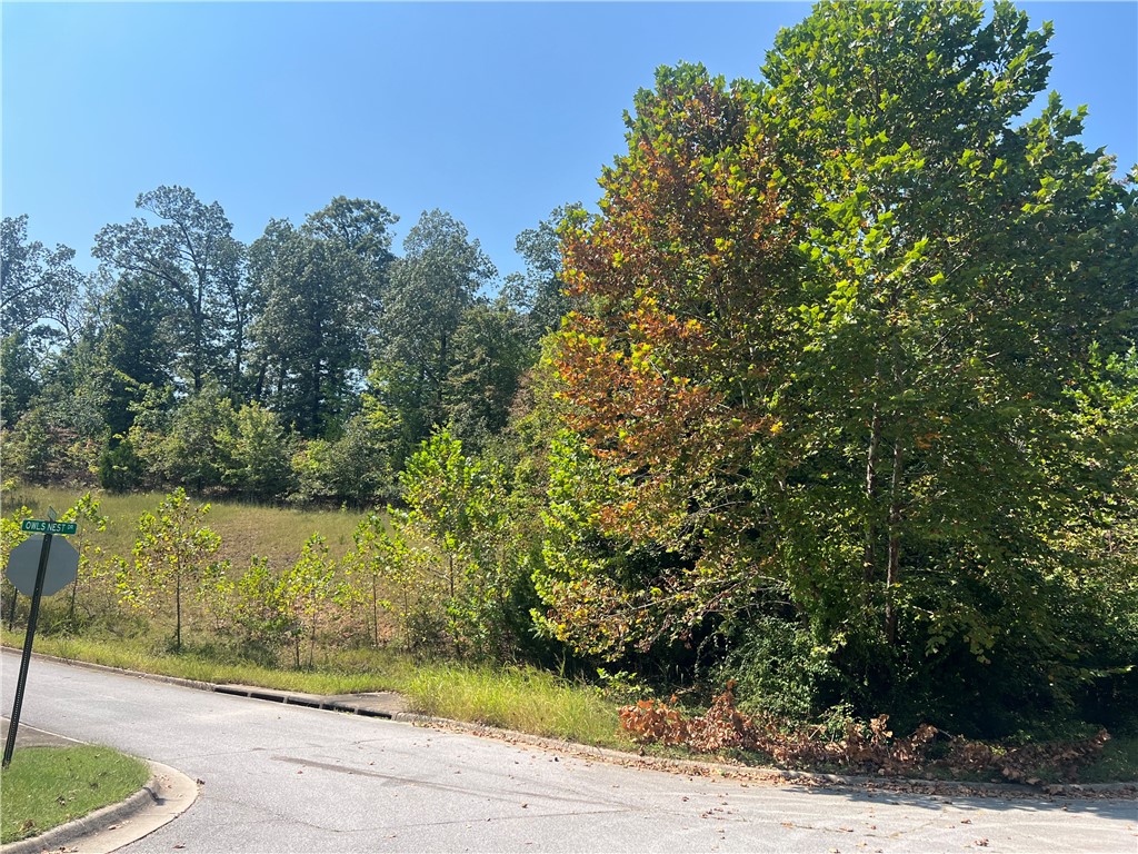 TWIN SPRINGS ESTATES PH II - Land