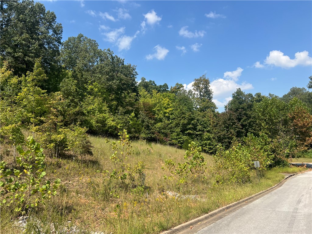 TWIN SPRINGS ESTATES PH II - Land