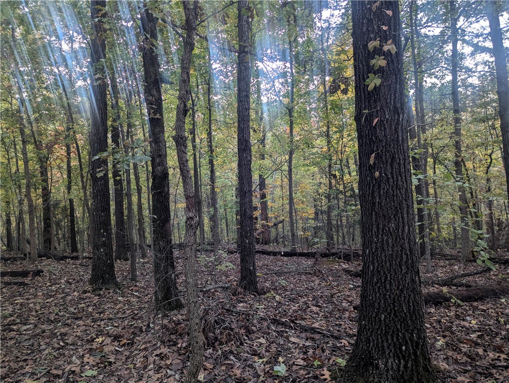 Selkirk Sub Bvv - Land