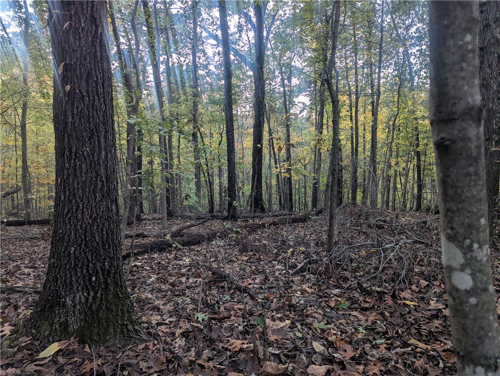 Selkirk Sub Bvv - Land