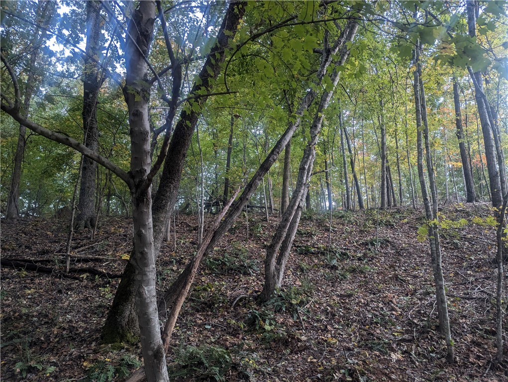 Selkirk Sub Bvv - Land