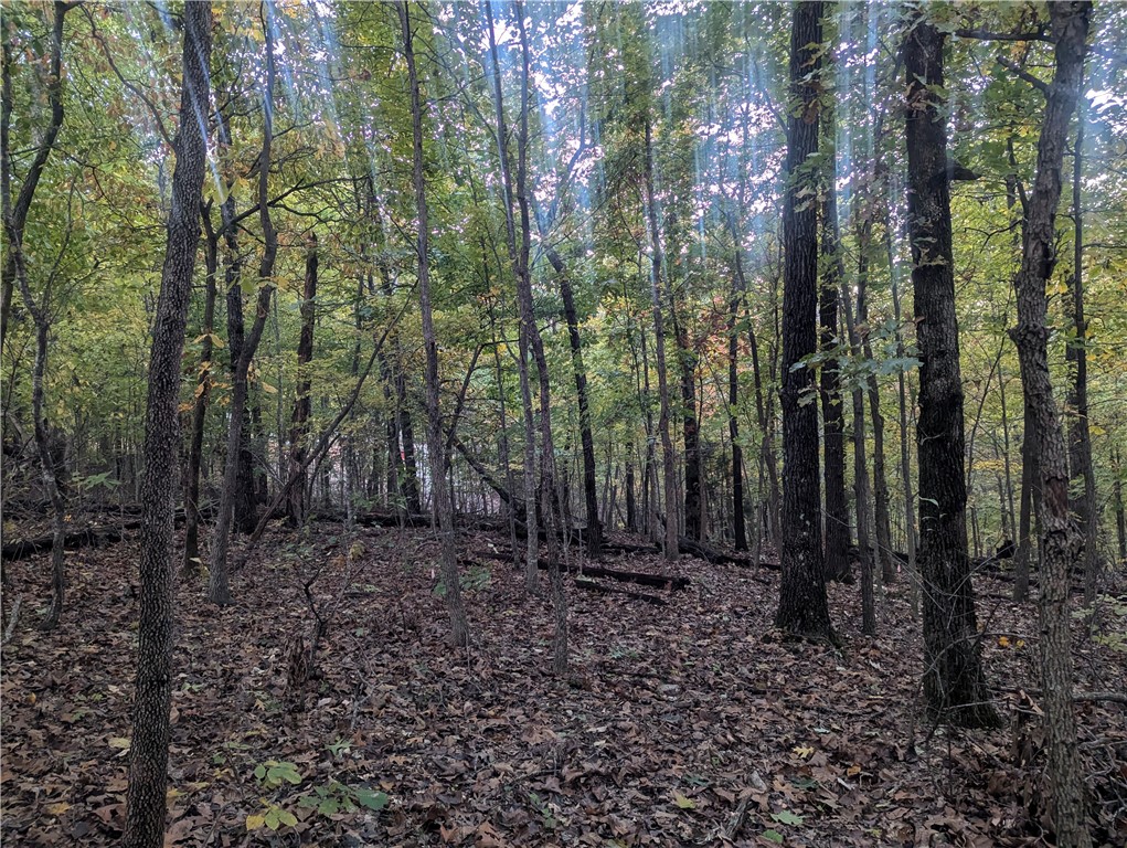 Selkirk Sub Bvv - Land