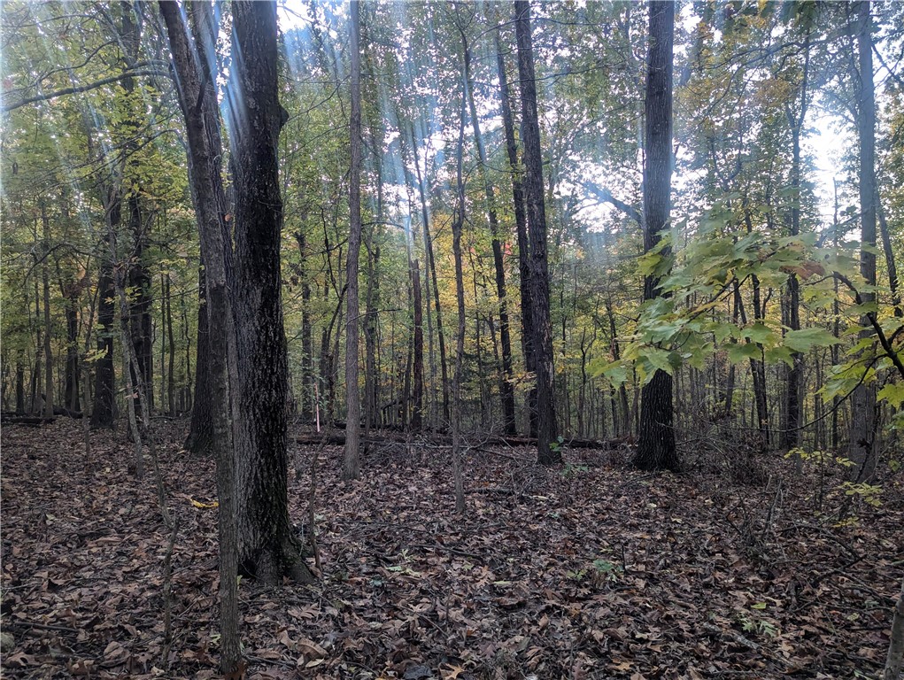 Selkirk Sub Bvv - Land