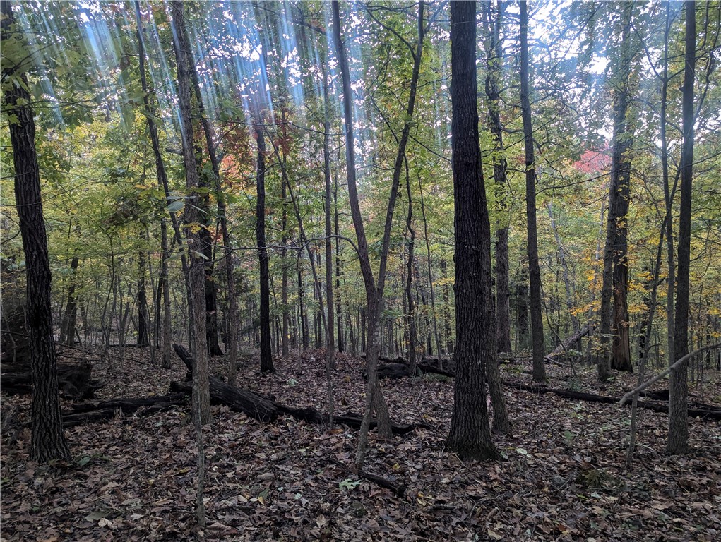 Selkirk Sub Bvv - Land