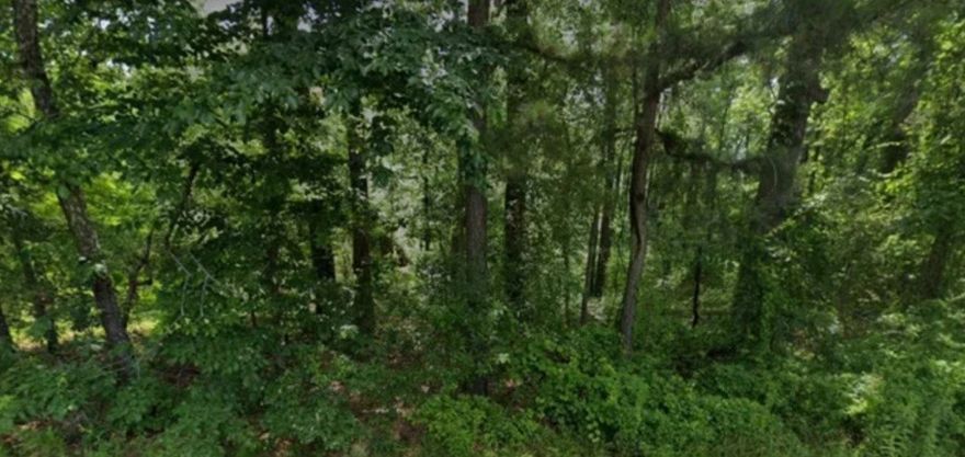 Build a new home or place a small, manufactured home on this .14 (+/-) acre lot in Pine Bluff. It is only minutes from local amenities and just a short drive to Lake Saracen and the resort. Call or text for more information.