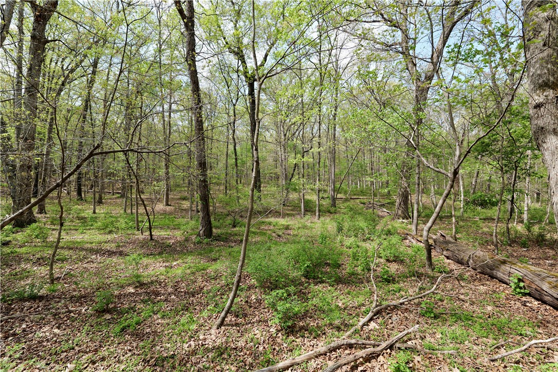 Ozark Estates - Land