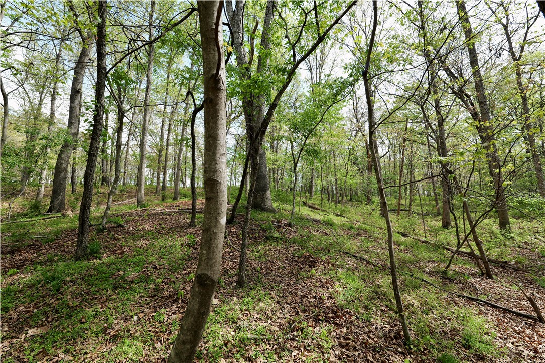 Ozark Estates - Land