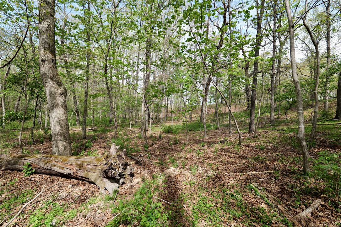 Ozark Estates - Land