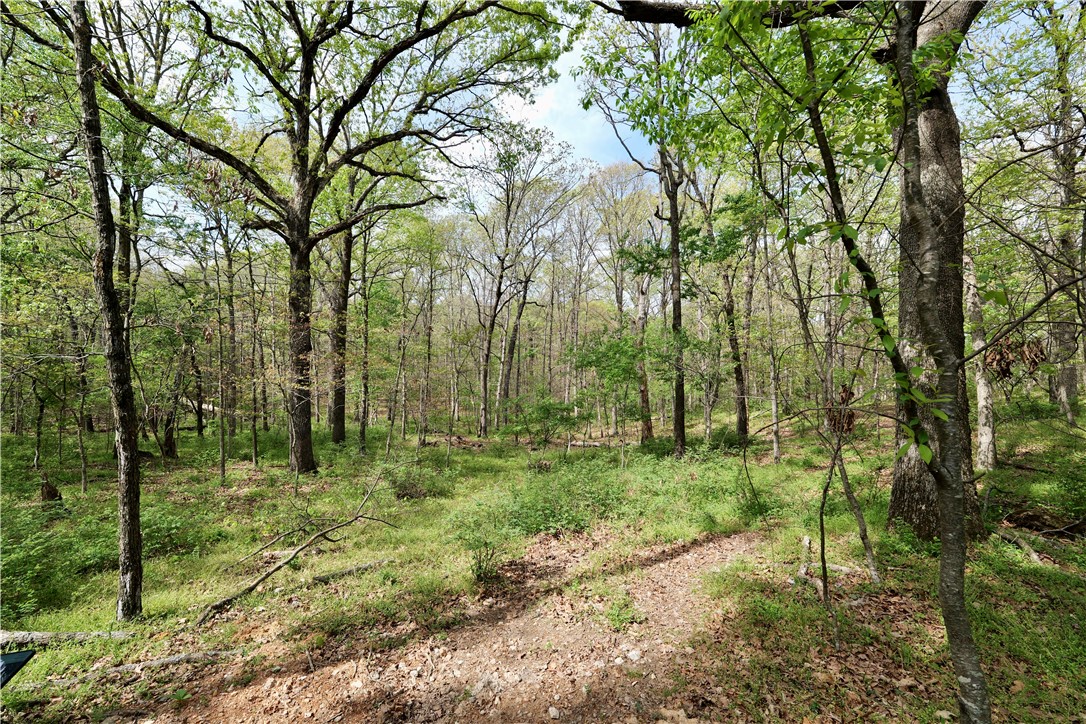 Ozark Estates - Land