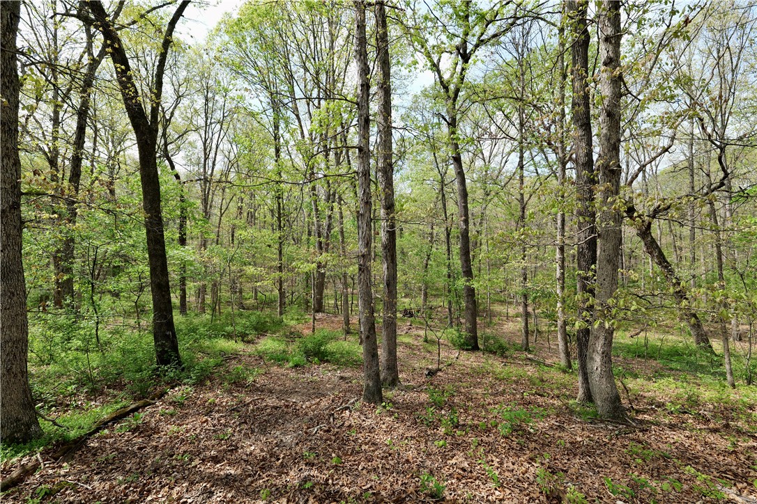 Ozark Estates - Land