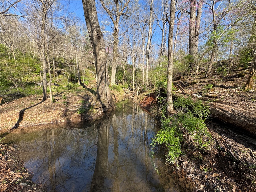 Looking to live off grid? Come check out these 5.12 acres ready for your adventure or hobby farm. Property is outside of the city limits but 11 minutes to I49 for easy access North or South of NWA. It comes with two project cabins (one is 10ft x 36ft the other is 11ft x 20ft). They’re ready for your design ideas. It also has a 16ft x 30ft horse/animal shelter to house your livestock if you choose or for you to convert into storage space. Wet weather creek on the property. Call to schedule your private showing!