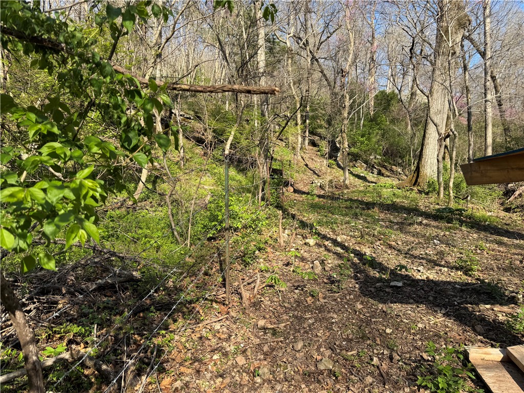 Rural - Land