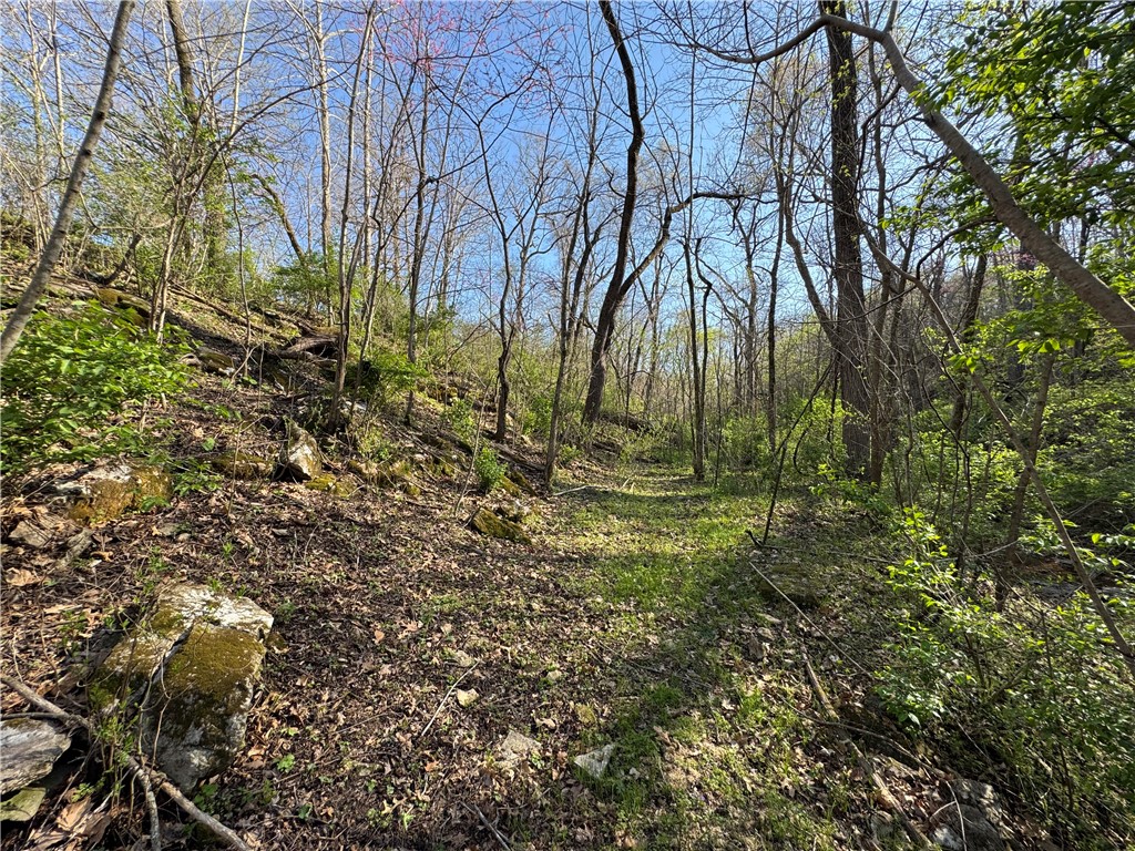Rural - Land